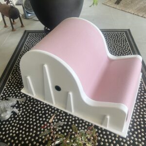 Pink Corebella Spine Corrector